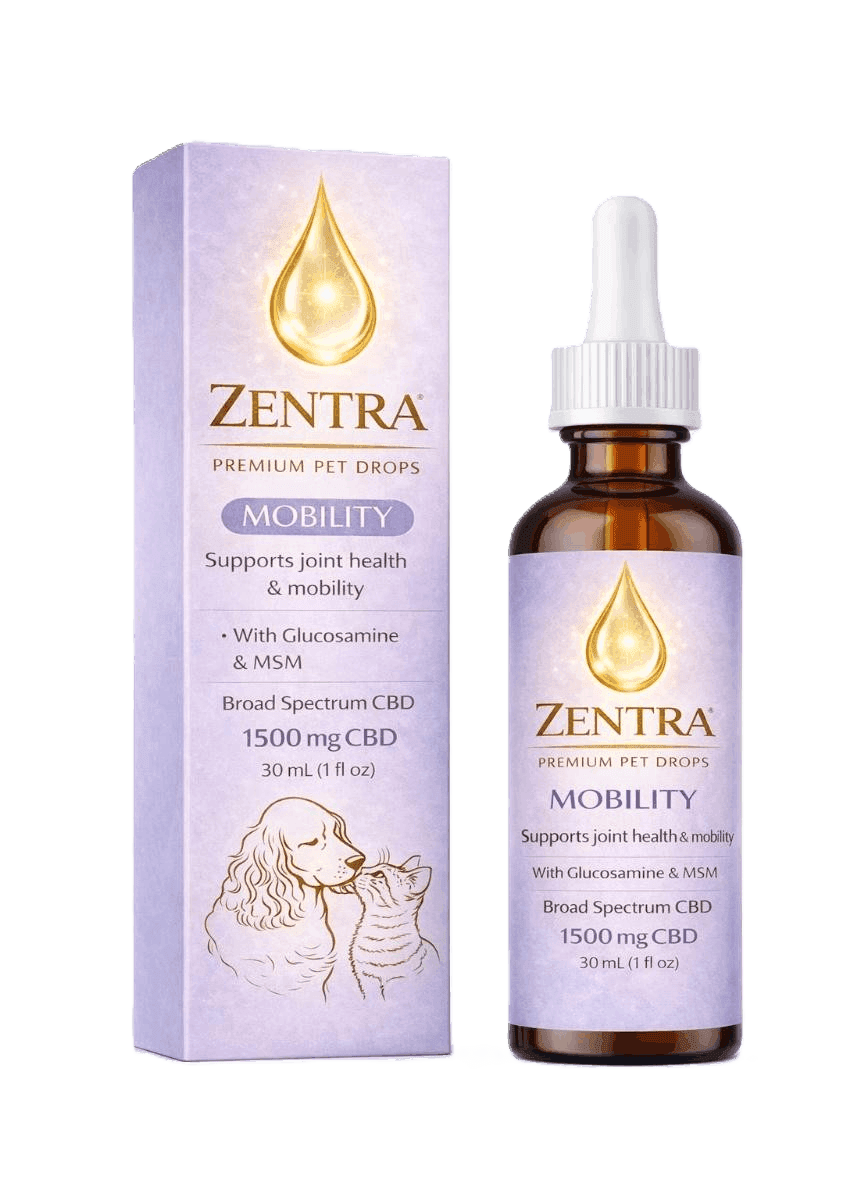 MOBILITY — High demand with strong repurchase potential